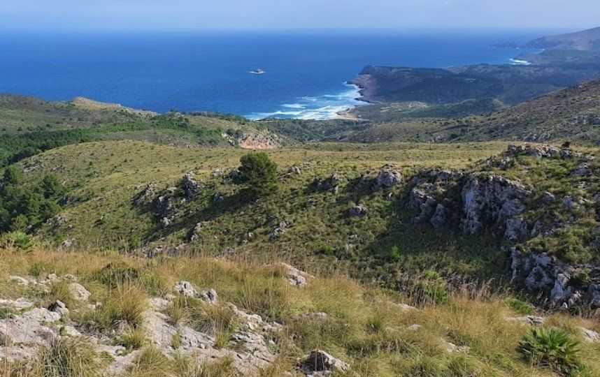 Una vista del océano desde la cima de una colina.