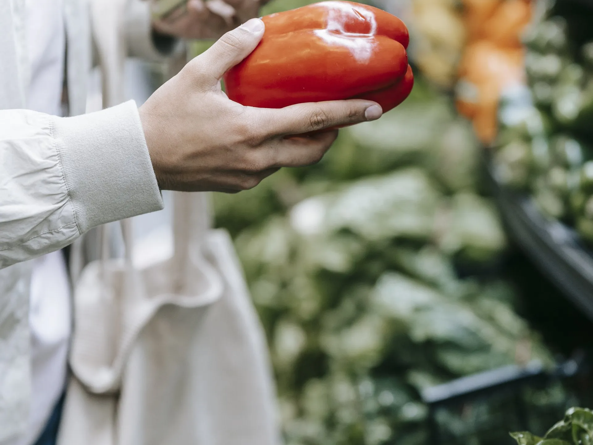 Una persona sostiene un pimiento rojo en su mano.