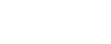 Asheville Swing Night Logo