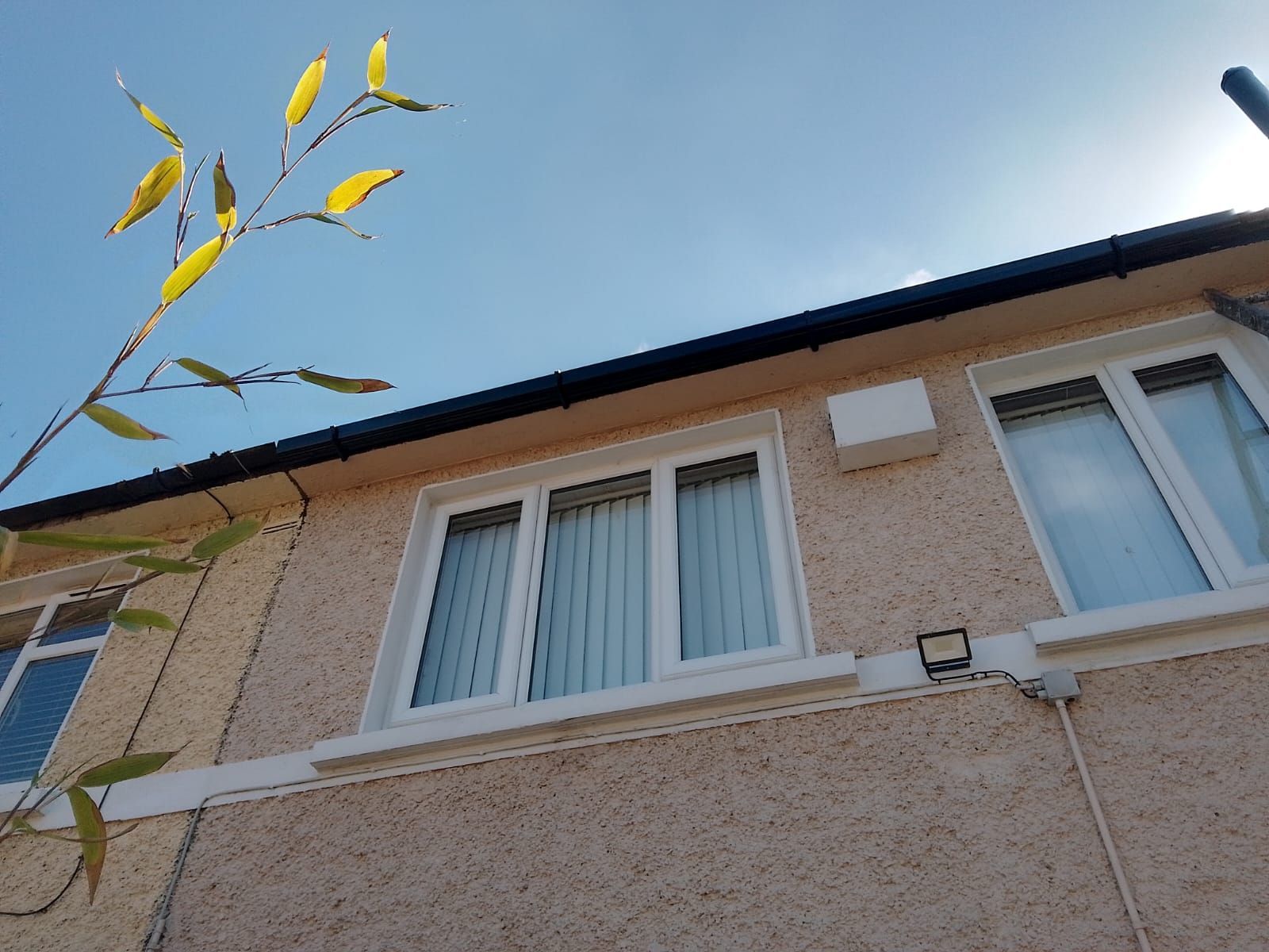 Exterior of a building with white-framed windows, beige stucco, and a blue sky; branches in the foreground.