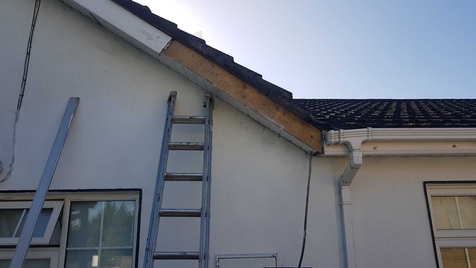 Ladder against a white building with exposed wooden roof framing. Sunny day.