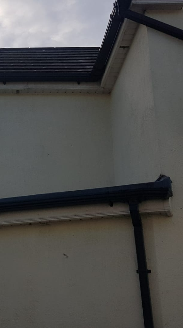Gutter Cleaning Near Me