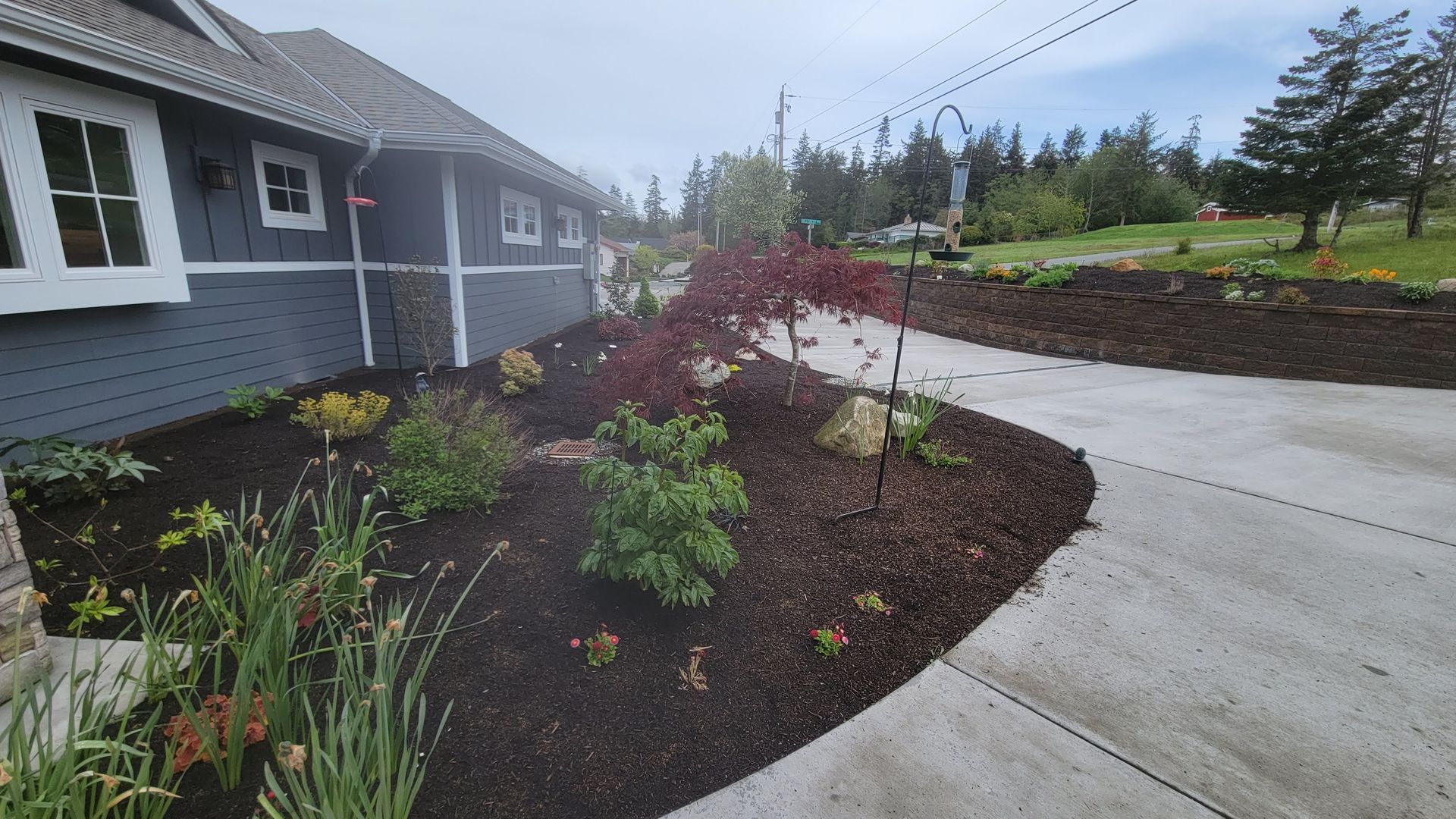 Newly landscaped front yard with driveway, plants, and a dark grey house.