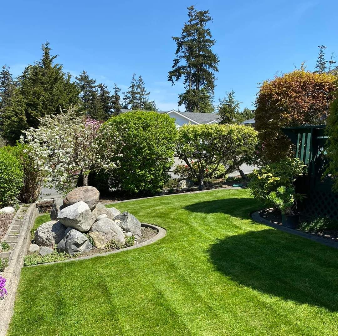 Lush green lawn surrounded by shrubs, a rock garden, and trees under a clear blue sky.