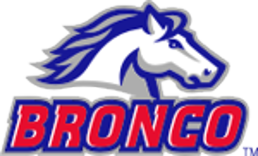 Blue and white horse mascot above bold red BRONCO text with blue outline
