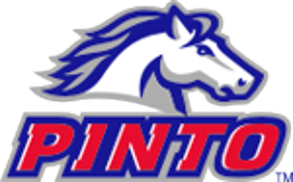 Blue and white horse head logo above red “PINTO” text with blue outline