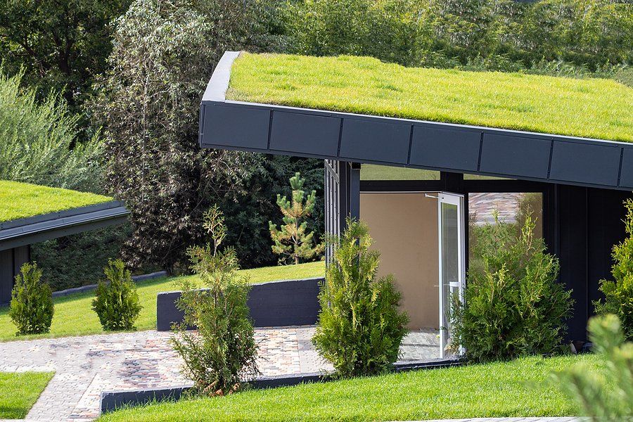 green roof