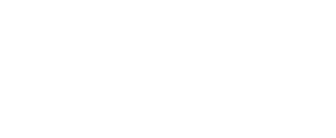 logo-image