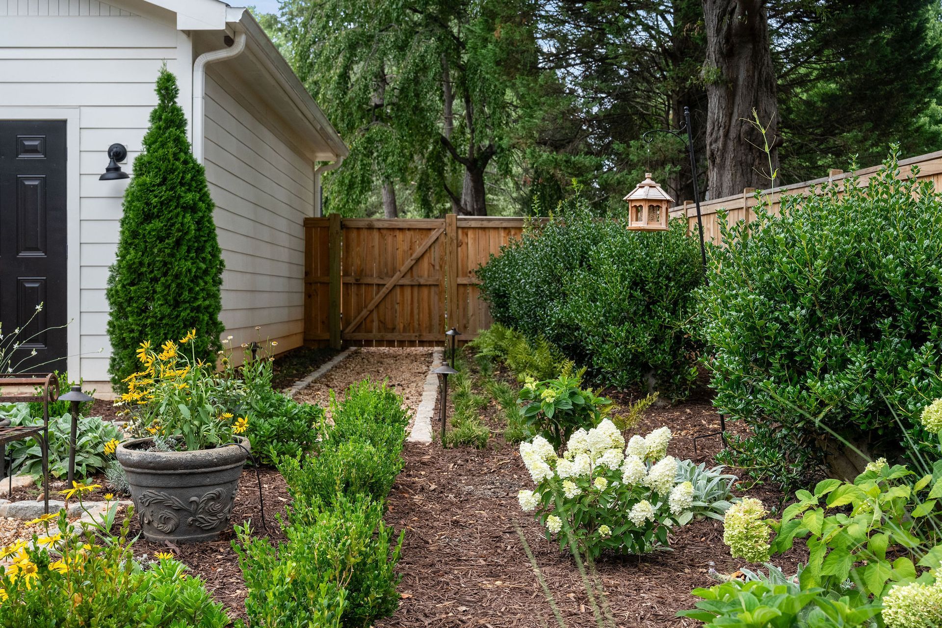 Backyard garden path beside a white house, with shrubs, hydrangeas, black eyed susans and a wooden gate.