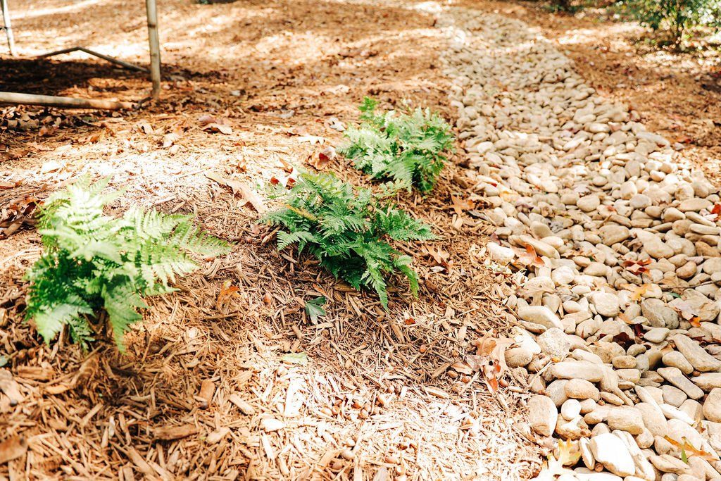 Curved stone path through a dry garden with small green shrubs and brown mulch
