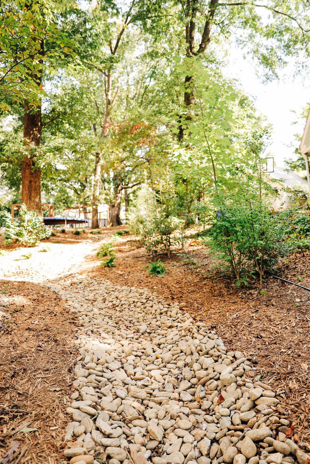 Rock-lined forest path winding through sunlit trees and dry leaves