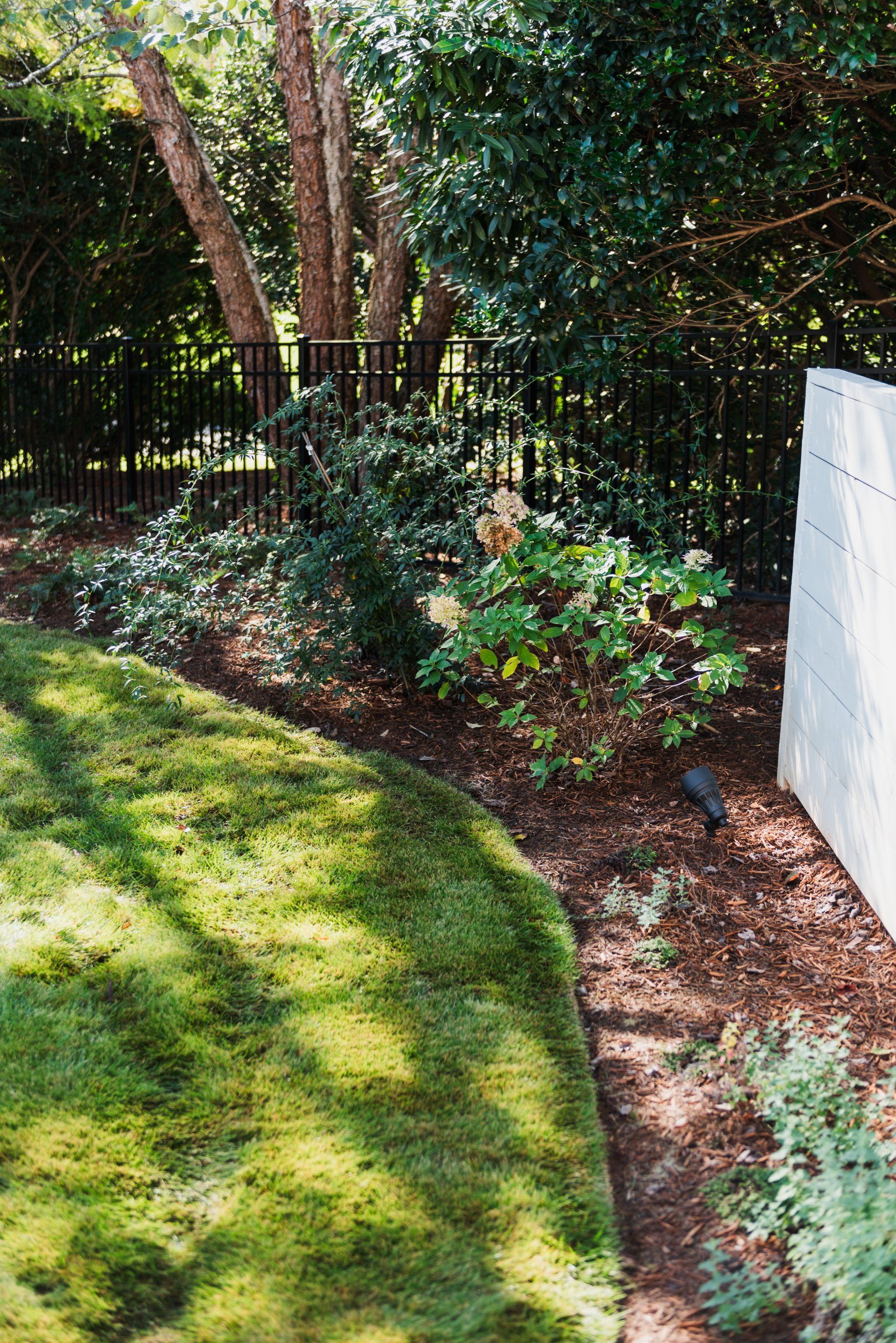 Shaded garden bed with green shrubs, trees, lawn, and a white fence panel along the edge