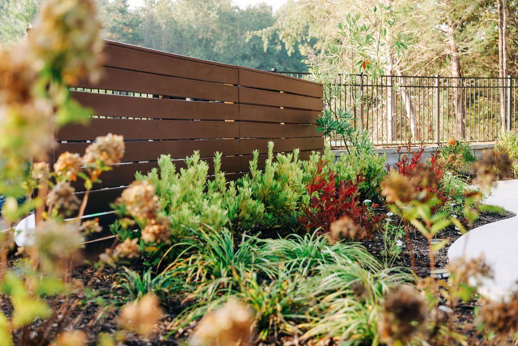Landscaped garden with green shrubs, red flowers, and a wooden fence in sunlight
