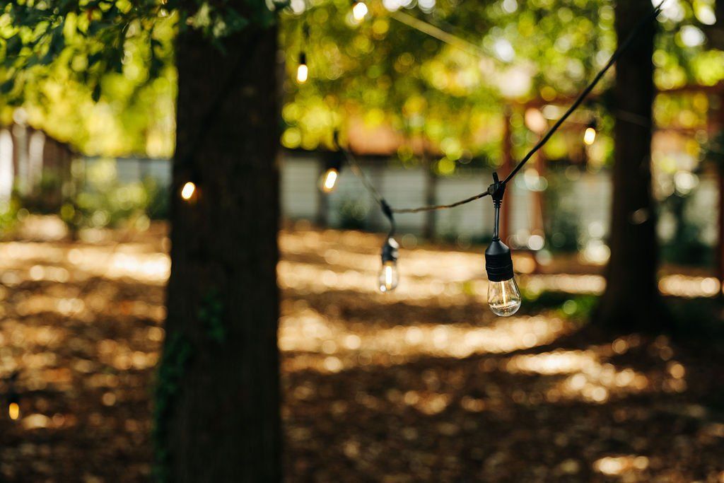 Sunlit park with tree trunks, hanging lights, and a blurred swing set on leaf-covered ground