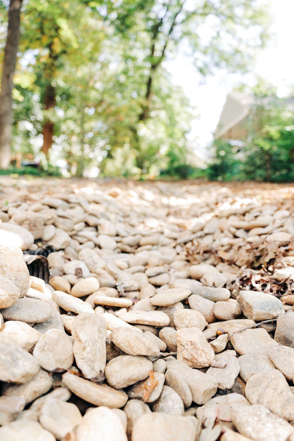 Pebble-strewn path in a sunlit park with blurred trees in the background