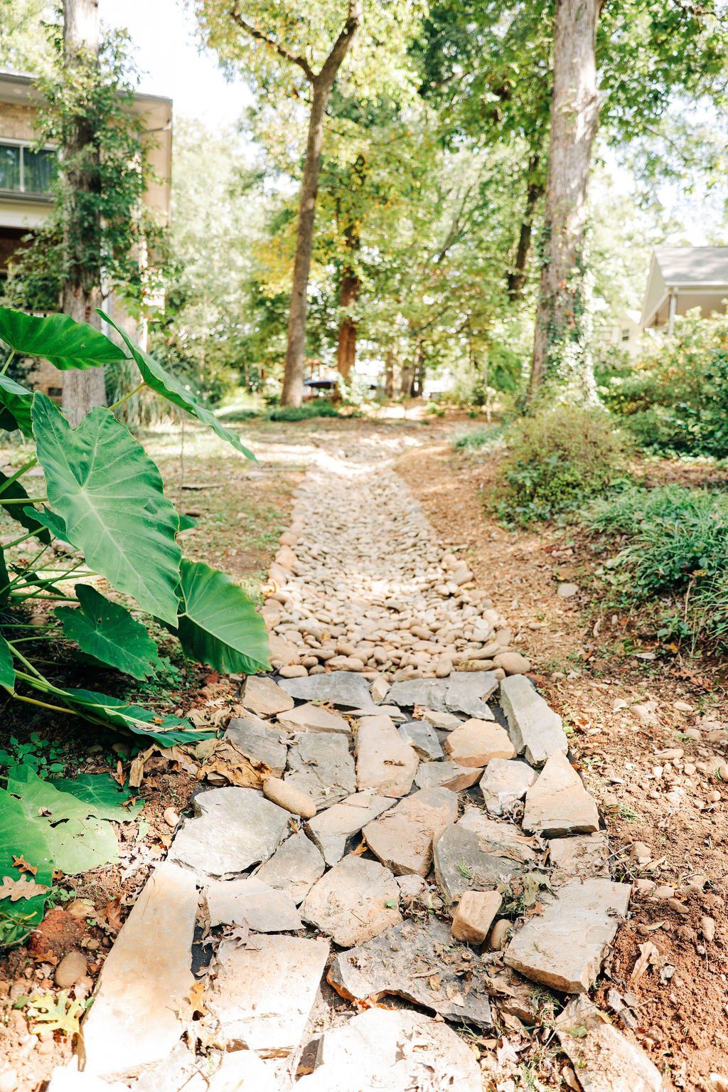 Leafy garden path with stone steps, surrounded by trees and plants