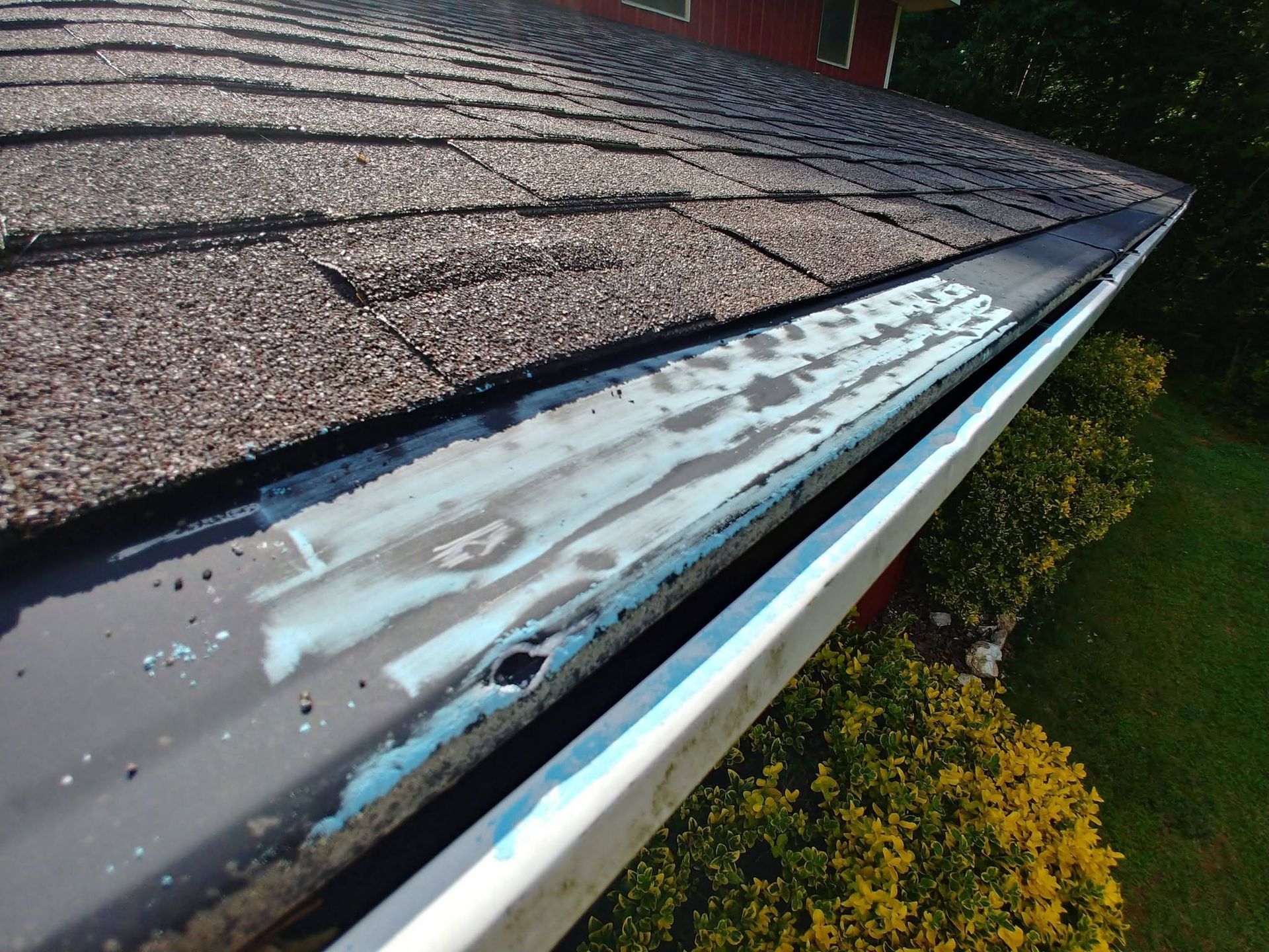 Damaged roof gutter with peeling paint and rust beside brown shingles and green bushes