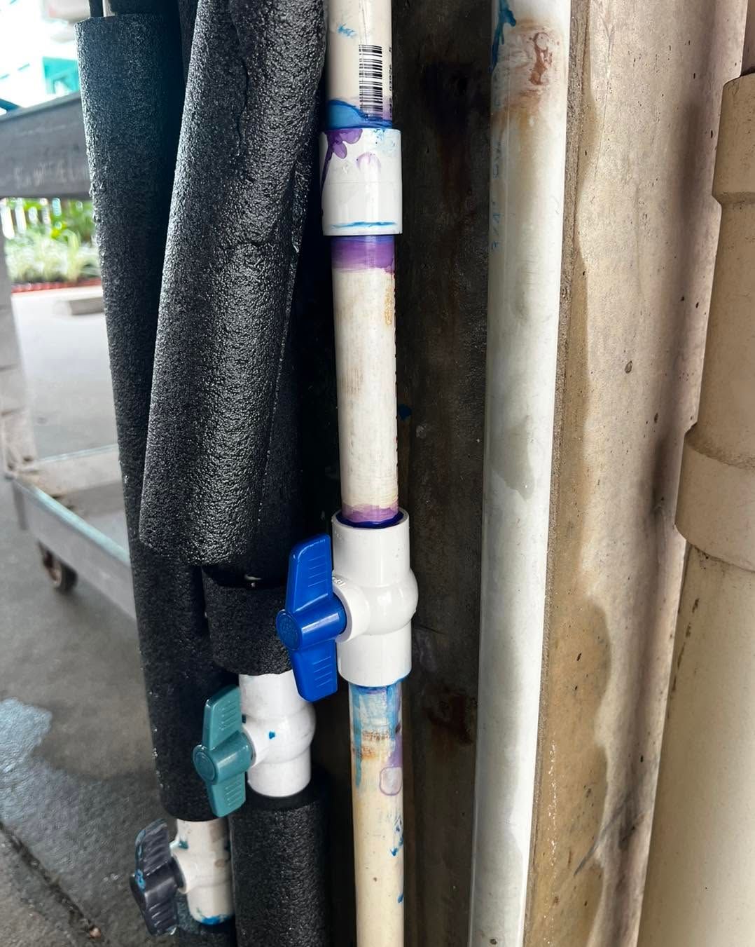 Blue and white faucet valves attached to vertical pipes beside a dark foam-wrapped pipe outdoors