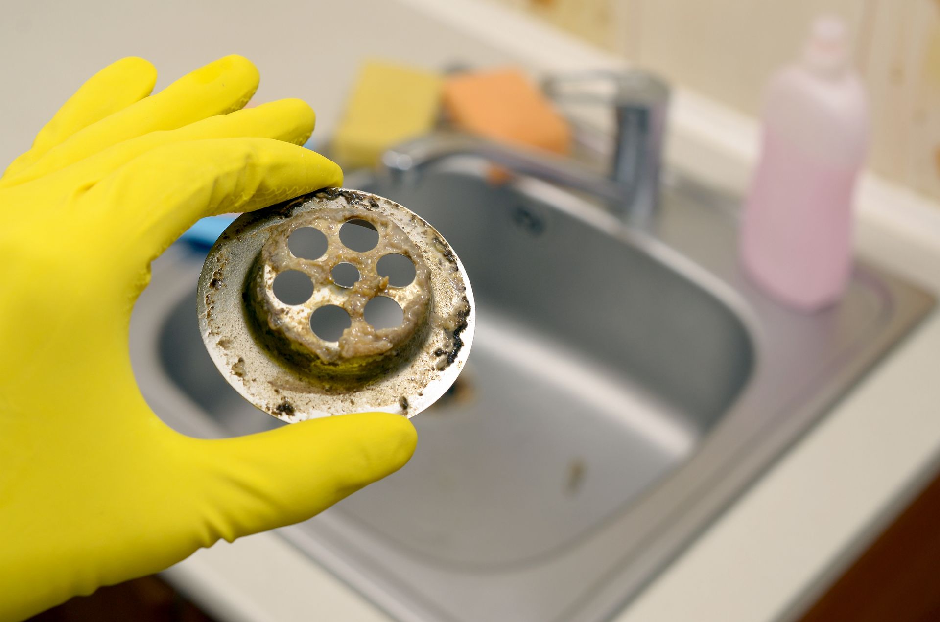 Gloved hand holding a dirty sink strainer above a stainless steel sink.