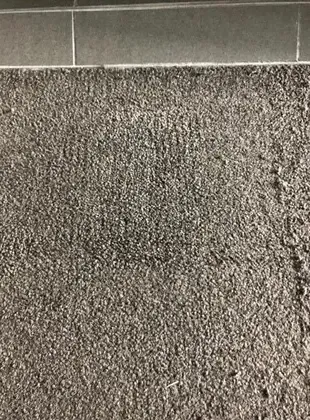 end of lease carpet repair sydney
