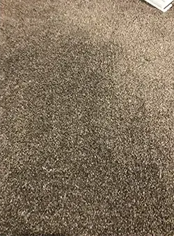 After carpet repair