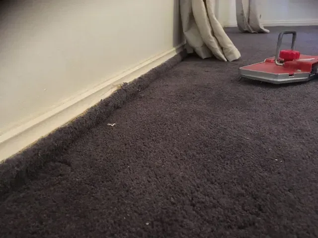carpet cleaning