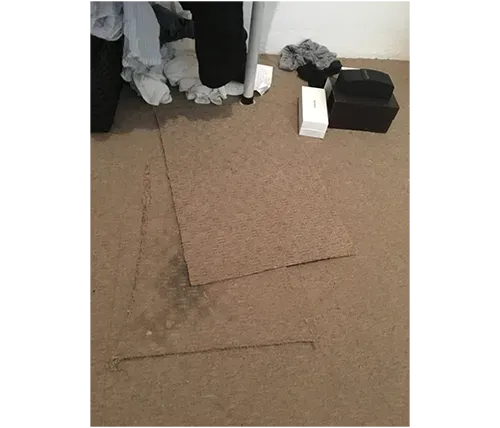 expert carpet repair