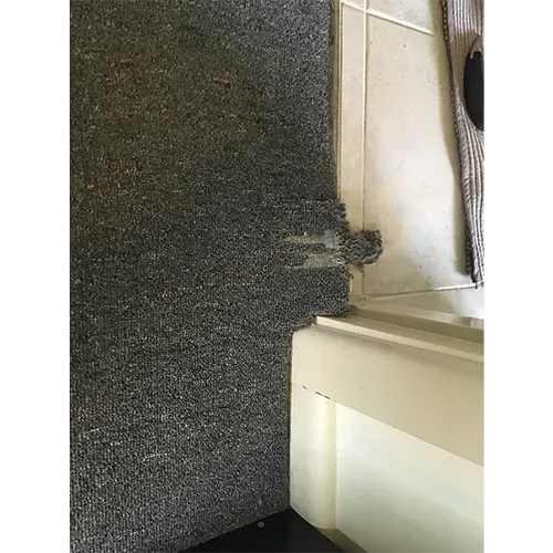 carpet repair kempsey