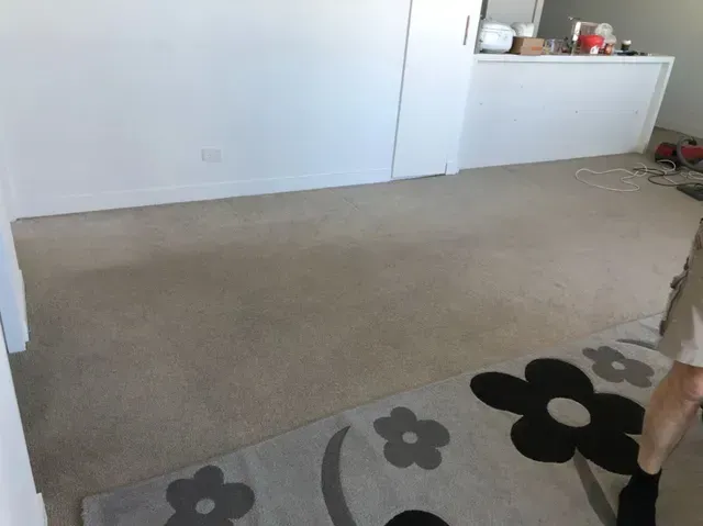 carpet stretching
