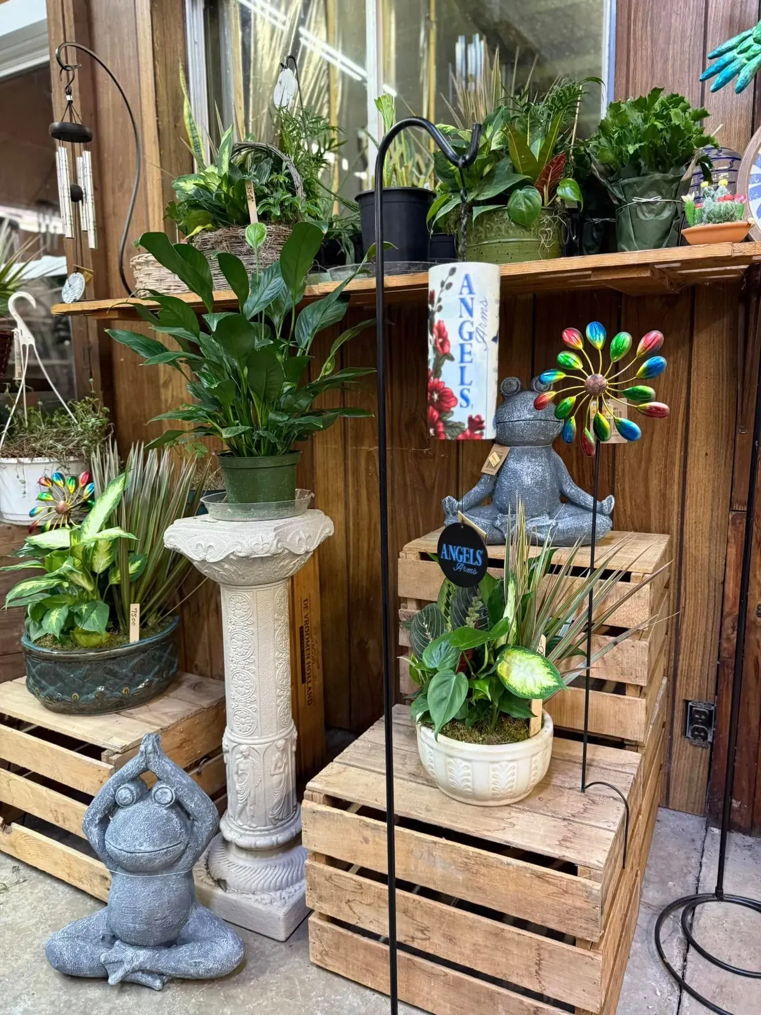 Display of potted plants and garden décor in a wood-shelved outdoor shop setting. Includes a yoga frog statue. Display of potted plants and garden décor in a wood-shelved outdoor shop setting. Includes a yoga frog statue.