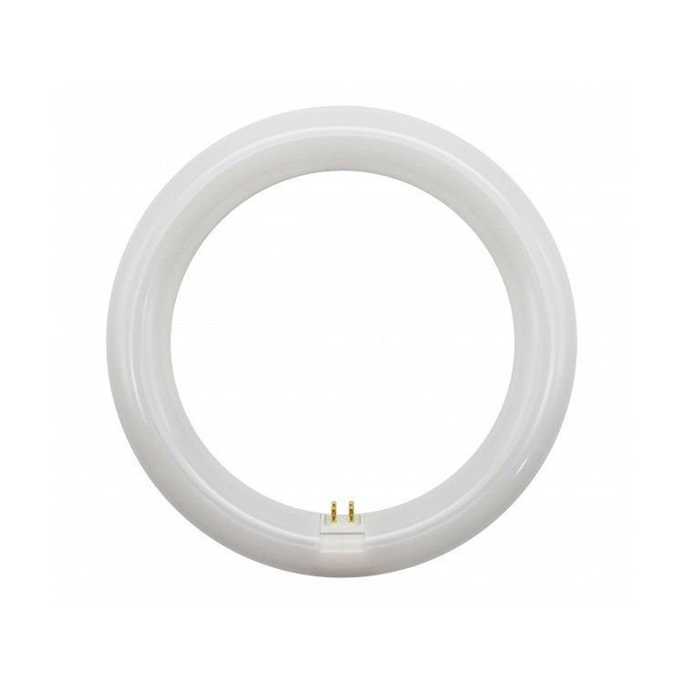Fluorescente Circular Trifosforo