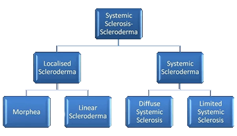 Scleroderma Diagram — Sydney, NSW — The Scleroderma Association of NSW Inc. Scleroderma Diagram — Sydney, NSW — The Scleroderma Association of NSW Inc.
