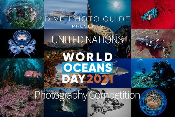 World Oceans Day 2021