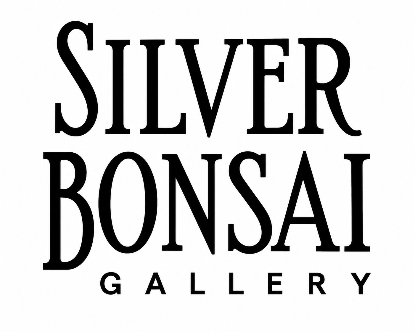 Silver Bonsai Gallery