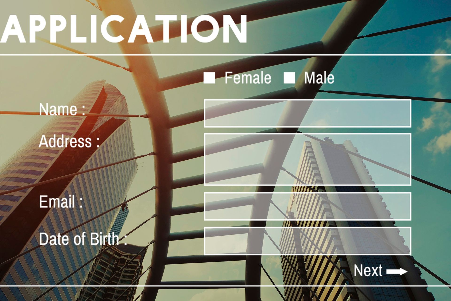 Application form with fields for name, address, email, date of birth, gender checkboxes, and a Next button over city buildings.