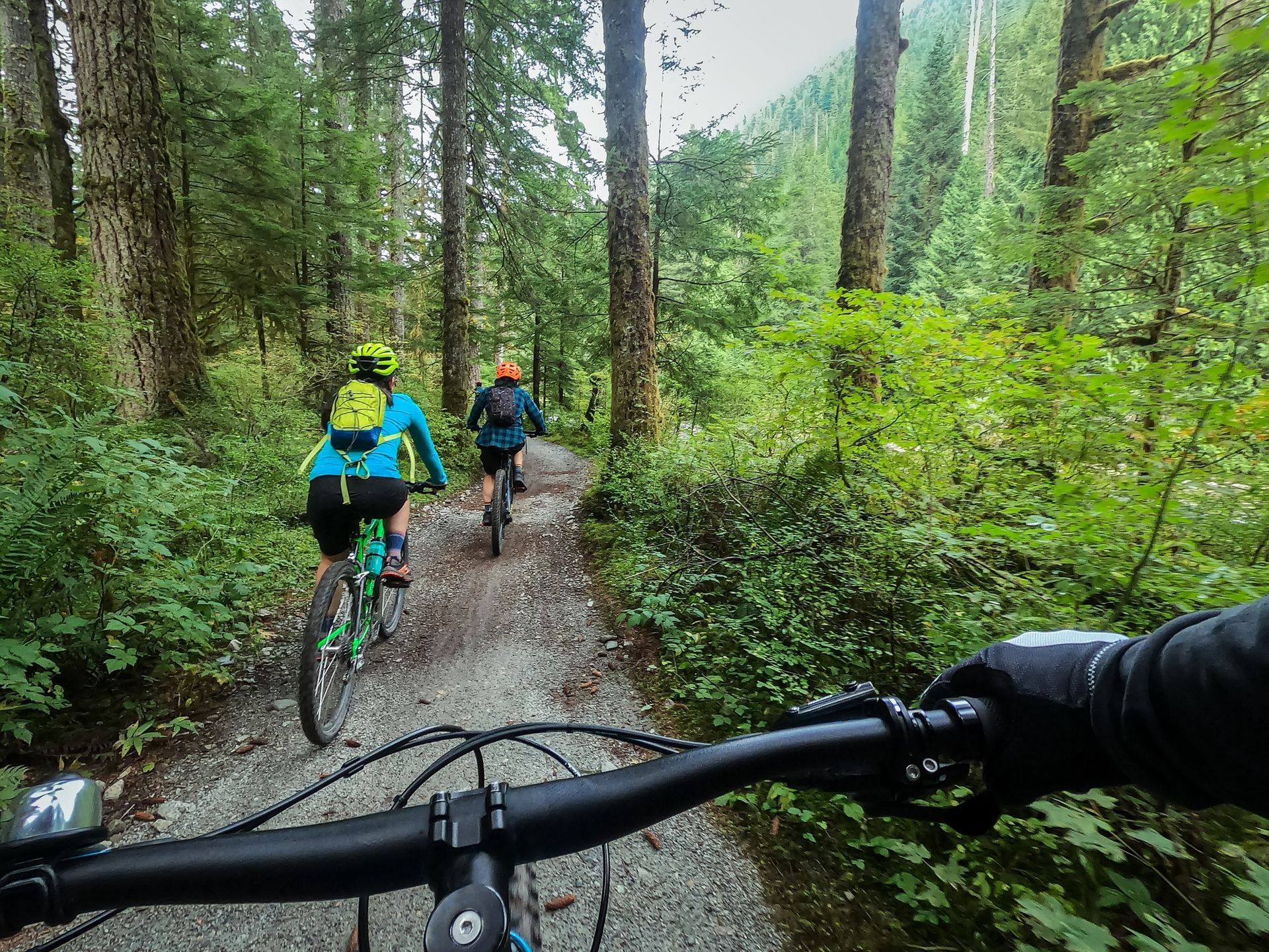 A person is riding a bike down a trail in the woods.