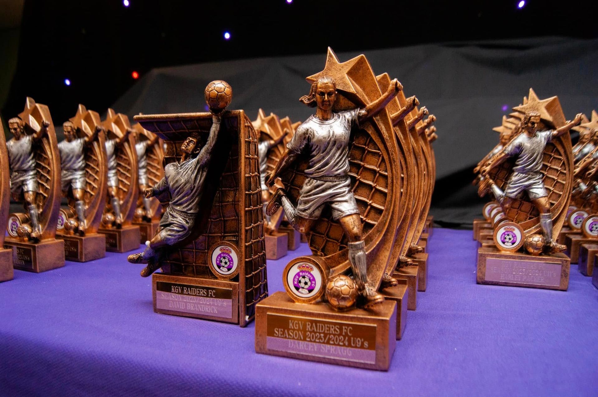 A group of trophies are sitting on a purple table