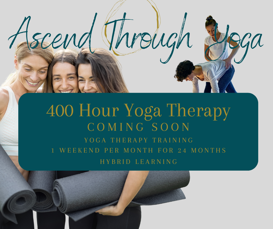 Yoga Therapy Training Coming Soon