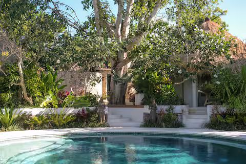 Swimming pool in tropical setting, with lush greenery, large tree, and thatched roof structure in the background.