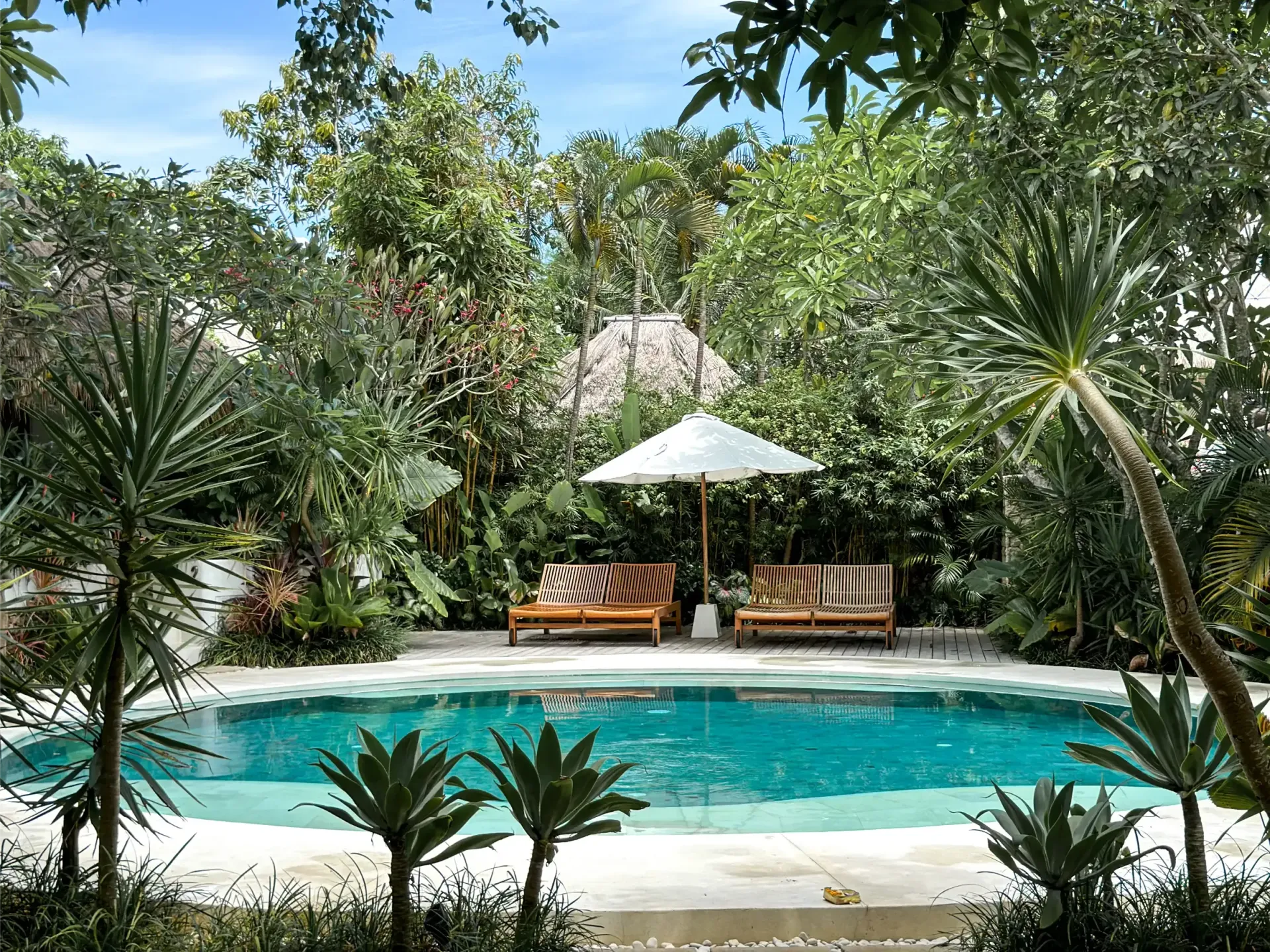 Pool surrounded by lush greenery with two lounge chairs under an umbrella, in a tropical setting.