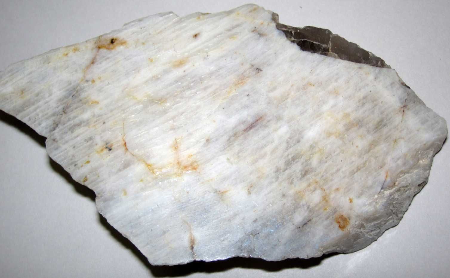 Roca blanca y marrón con textura estratificada y algunas motas más oscuras.