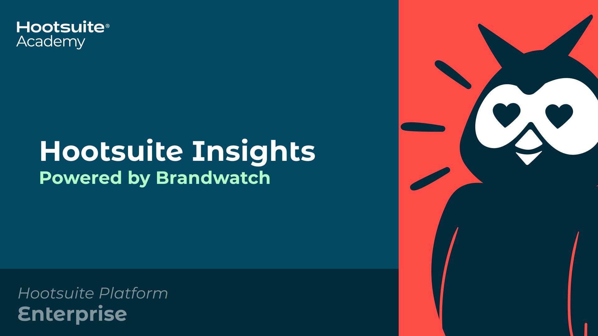 A blue and red poster with an owl and the words `` hootsuite insights powered by brandwatch ''.