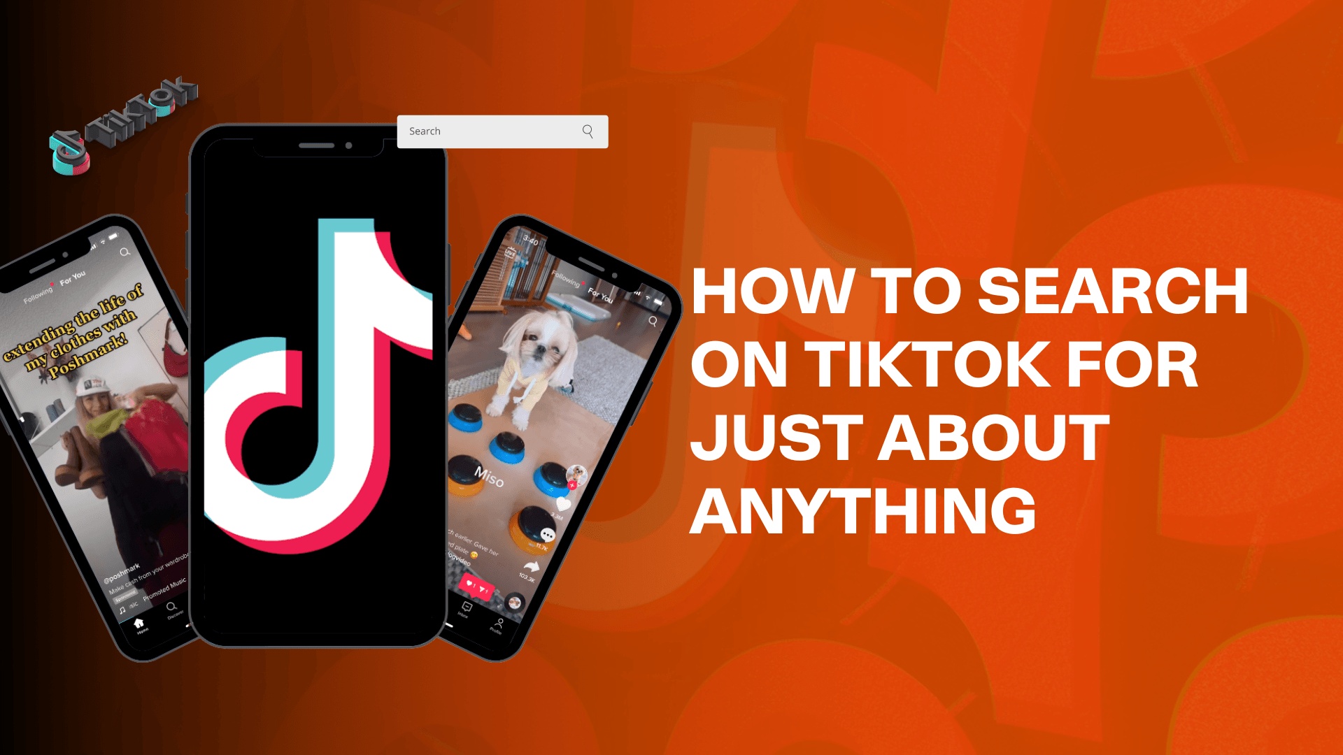 How to search on tiktok for just about anything