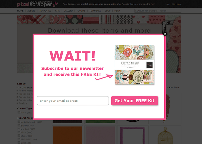 A popup window on a website that says wait subscribe to our newsletter and receive this free kit