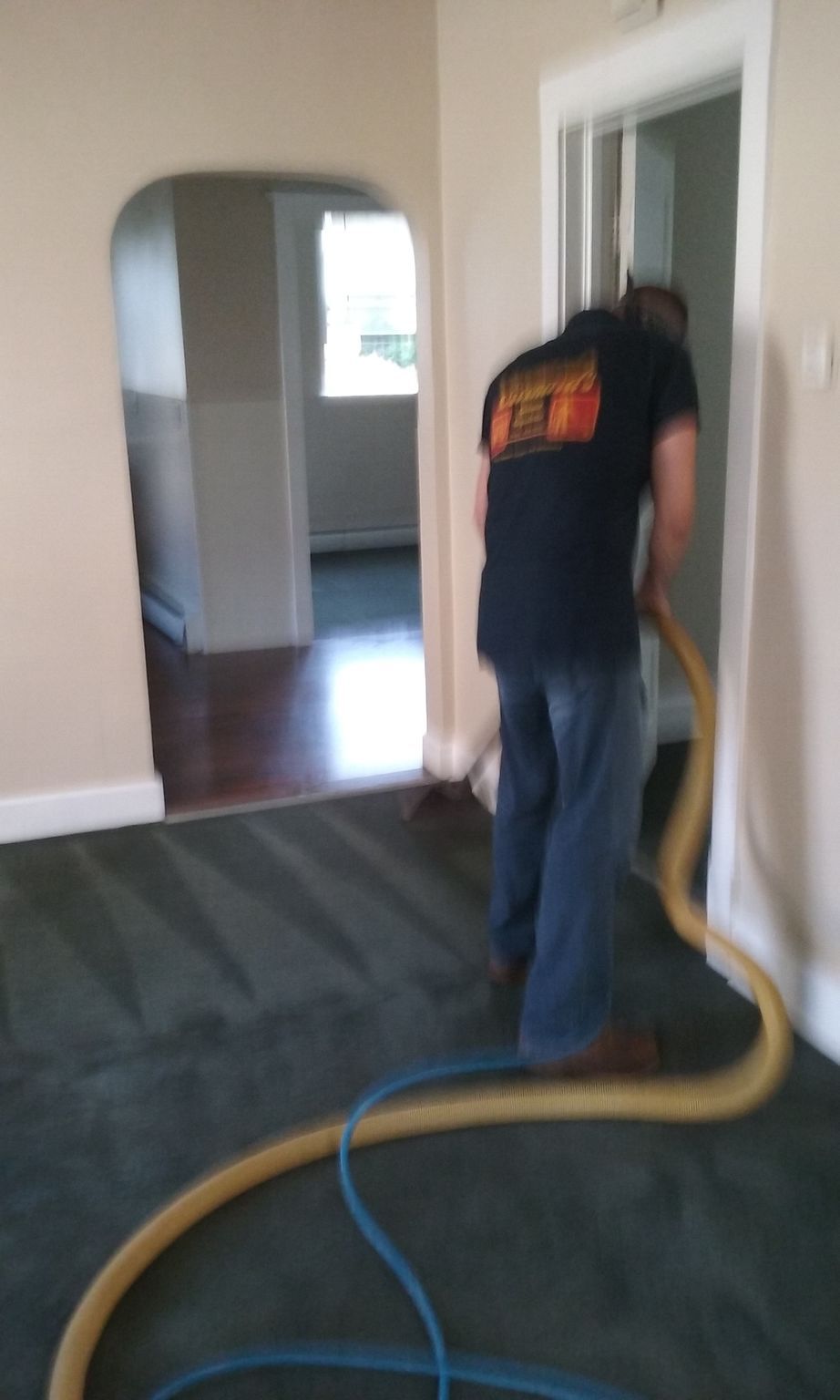 A person cleans a dark green carpet with professional equipment inside a house with an arched doorway.