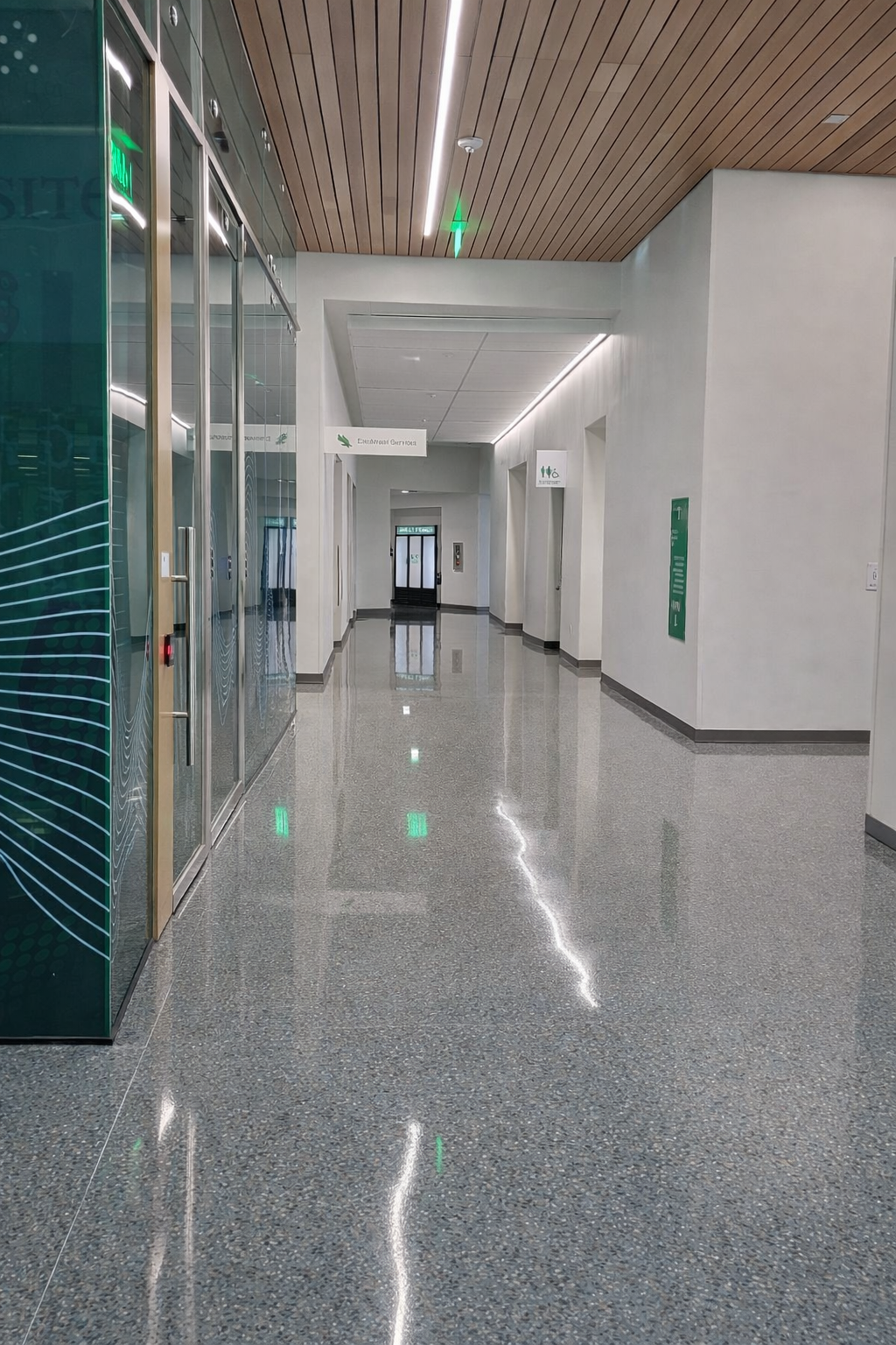 Commercial carpet extraction in a corporate office — deep carpet cleaning services