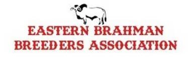 Logo of the Eastern Brahman Breeders Association featuring a black silhouette of a Brahman bull above the red text.