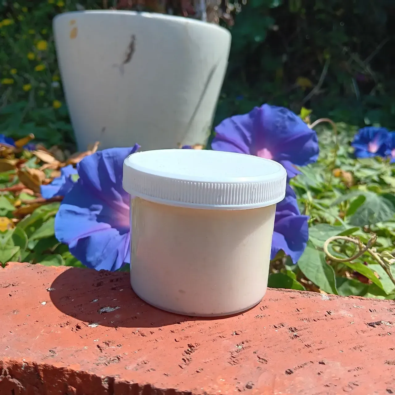 Body Butters (Hand Whipped)