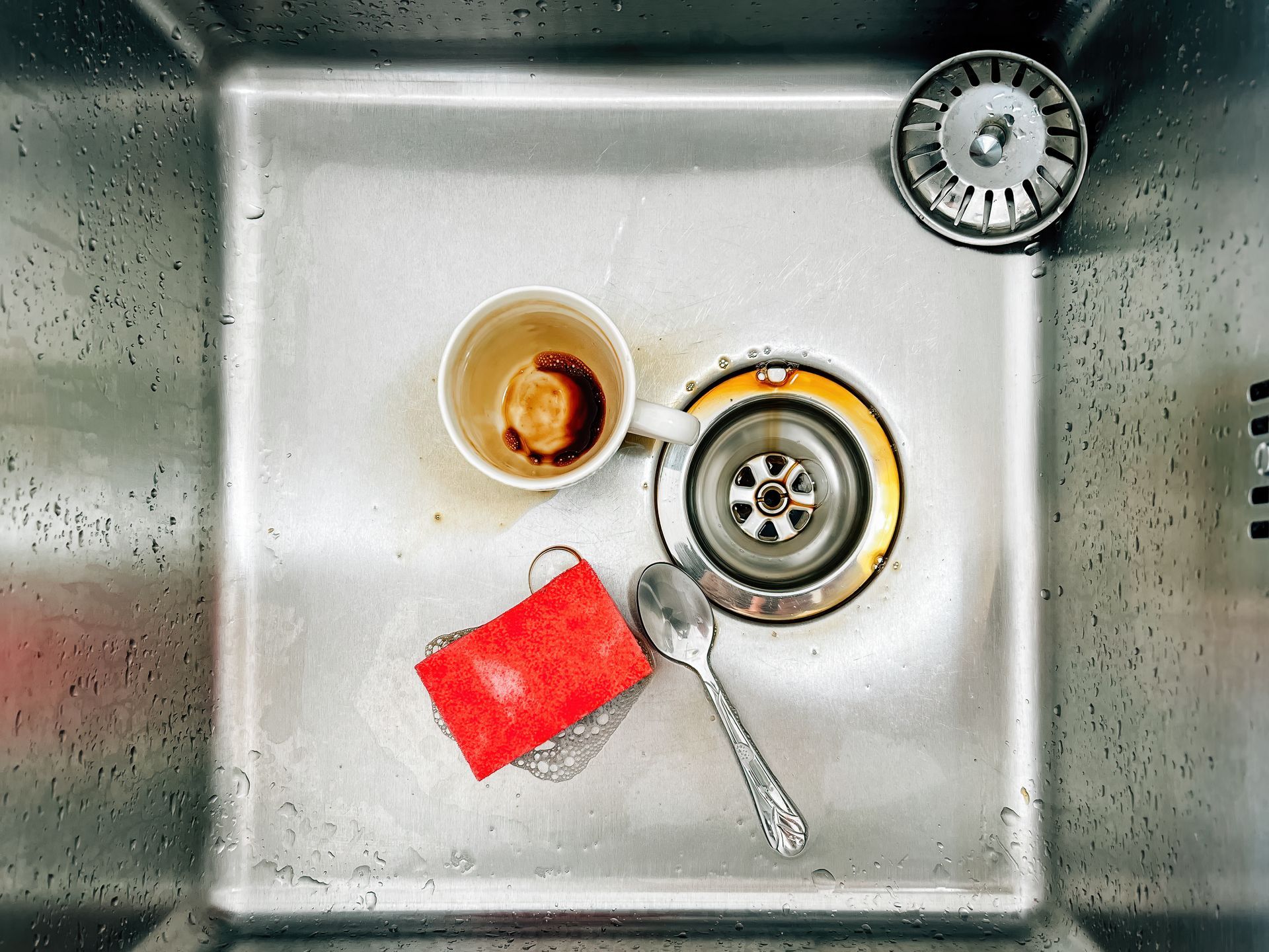 Disposal Repair & Replacement