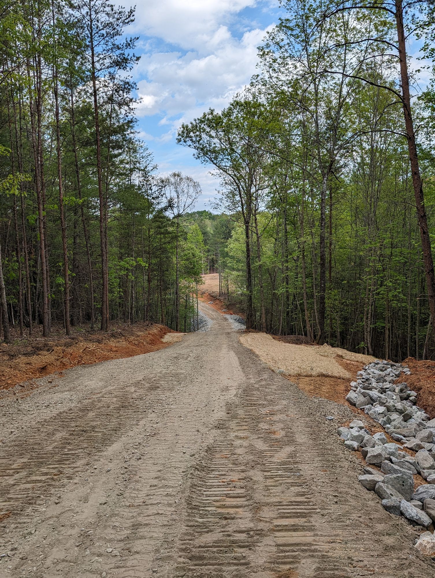 Gravel road winding through a wooded area with tall trees and a rocky shoulder under a blue sky